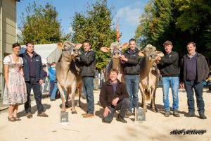 Champion mitte Bigboy Polly links Vize Jongleur Silvana rechts HM Jongleur Jacobellis